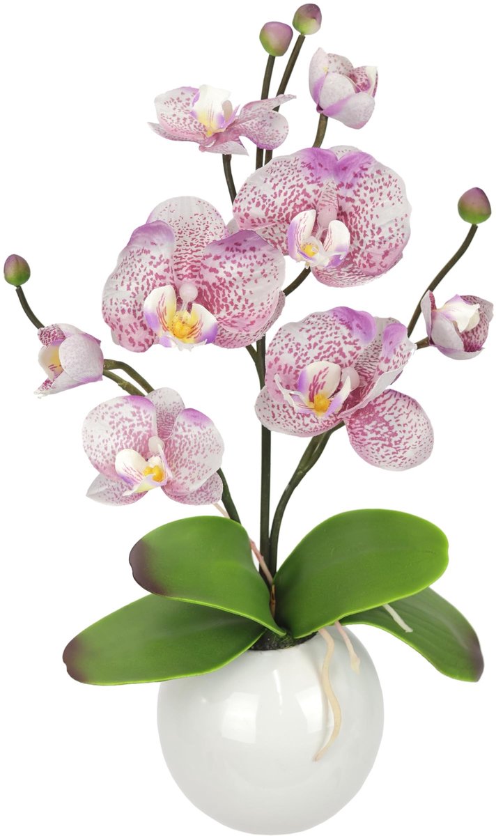 Kunstorchidee in Pot voor Decoratie en Bruiloft