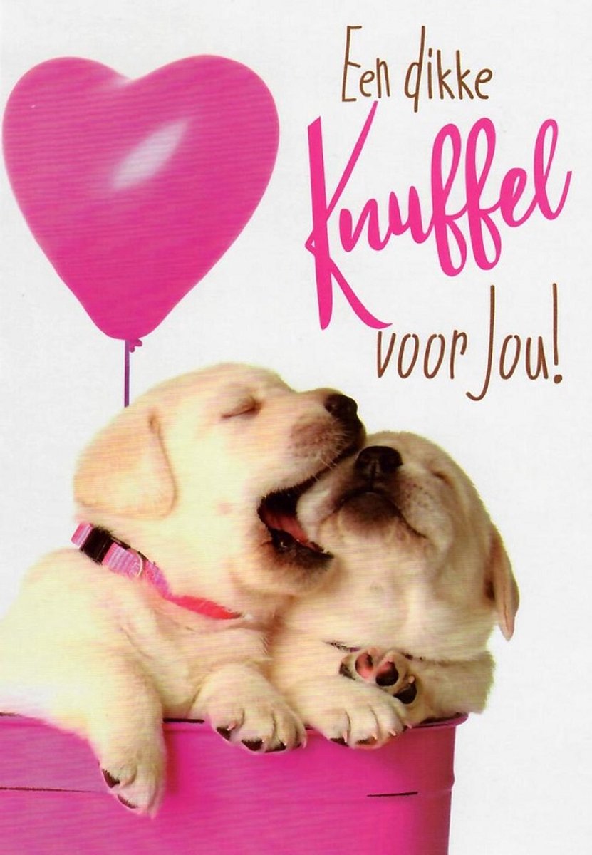 Een dikke knuffel voor jou! Een grappige kaart met twee lieve honden waar een roze ballon bij hangt in de vorm van een hart. Leuk om zo te geven of om bij een cadeau te voegen. Een dubbele wenskaart inclusief envelop en in folie verpakt.