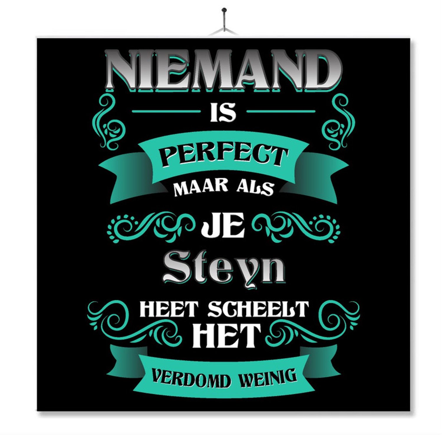 MC Living Tegel Met Opdruk | Kado | Cadeau | Niemand Is Perfect Maar Als Je Steyn Heet Scheelt Het Verdomd Weinig Multi-Color