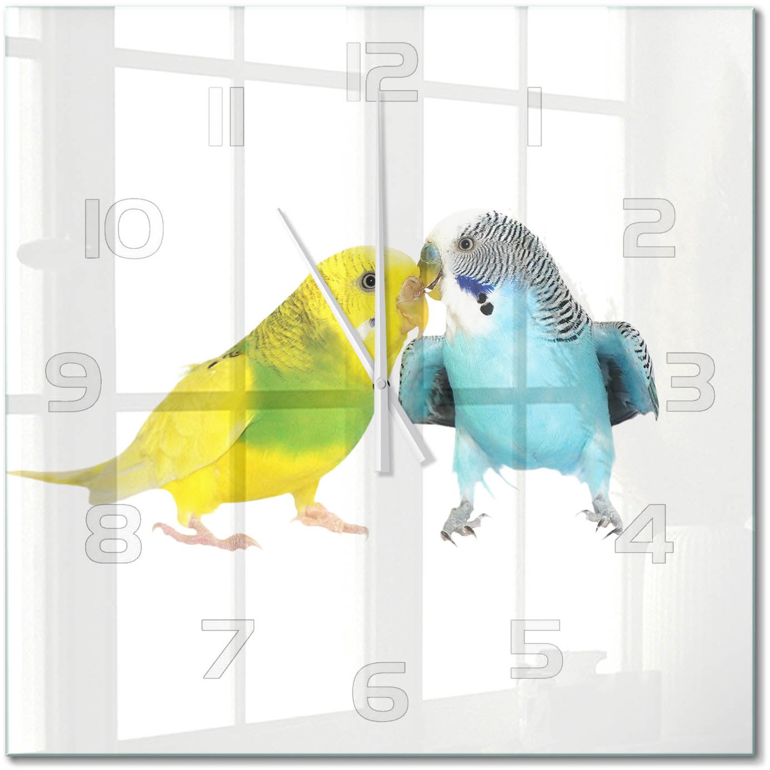 TULUP Wandklok - Parkieten Wandklok Glas Met Motief - 60x60 cm - Veelkleurig Decoratieve Glazen Klok - Witte handen - Vierkante Klok - Gekleurde Glazen Klok - Glazen Klok Met Print