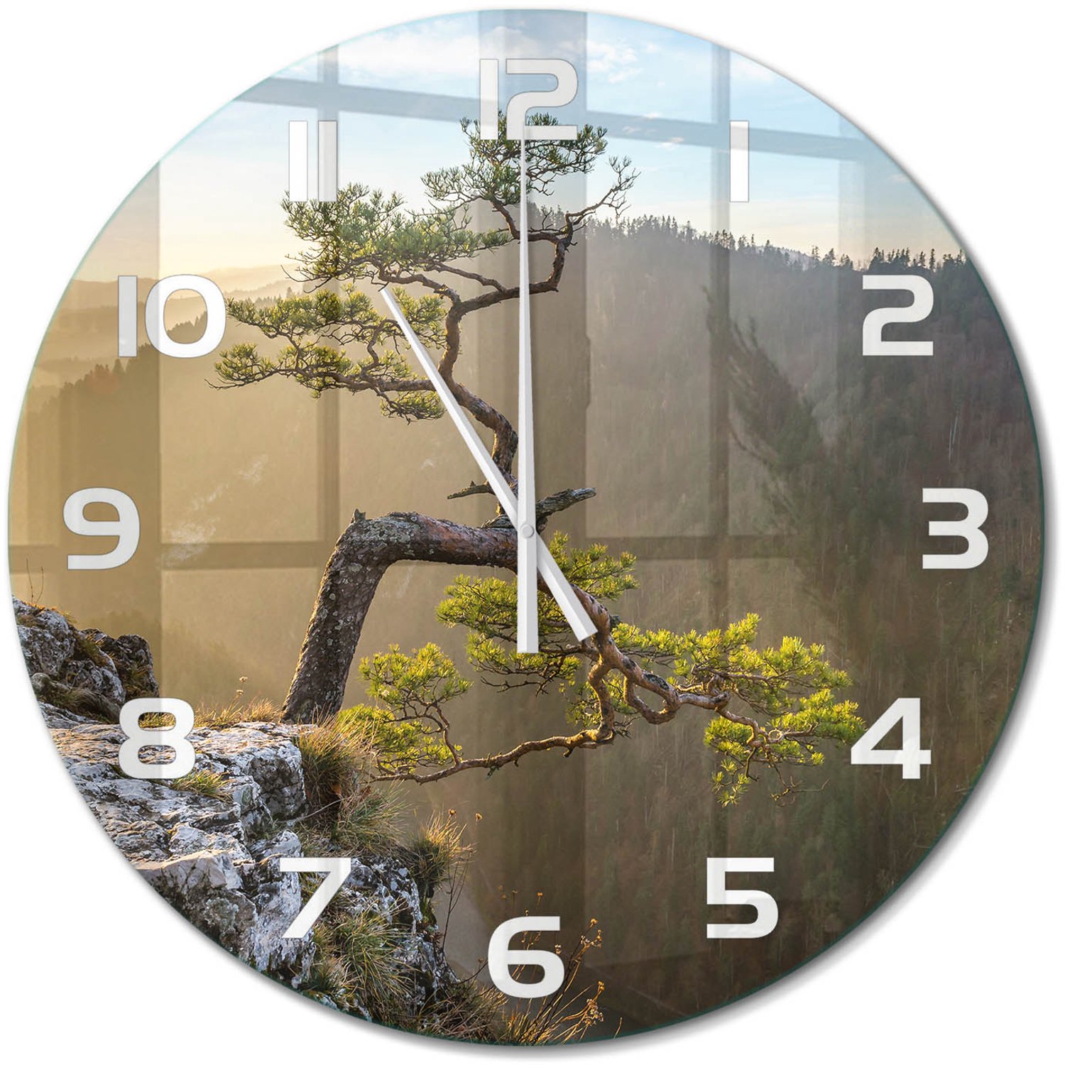 TULUP Wandklok - Sokolica Pieniny Decoratieve Glazen Klok - fi60 cm - Groente Glazen Wandklok Design - Witte handen - Ronde Klok - Glazen Klok Met Print - Wandklok Glas Met Motief