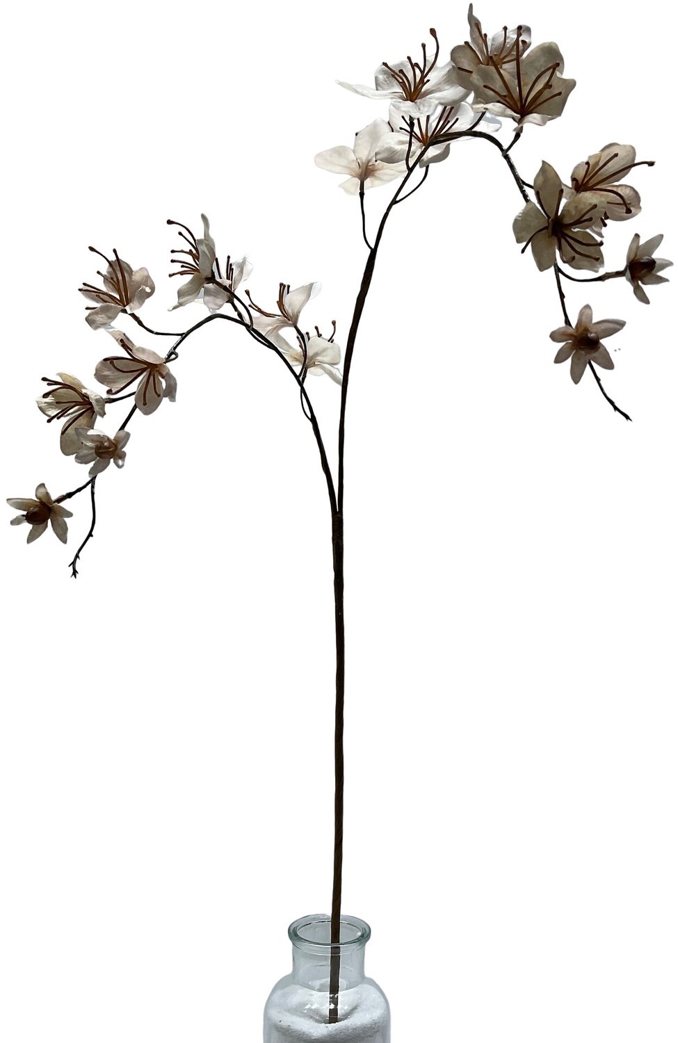 homebound by ky Kunsttak Scabiosa 96cm off-white Beige