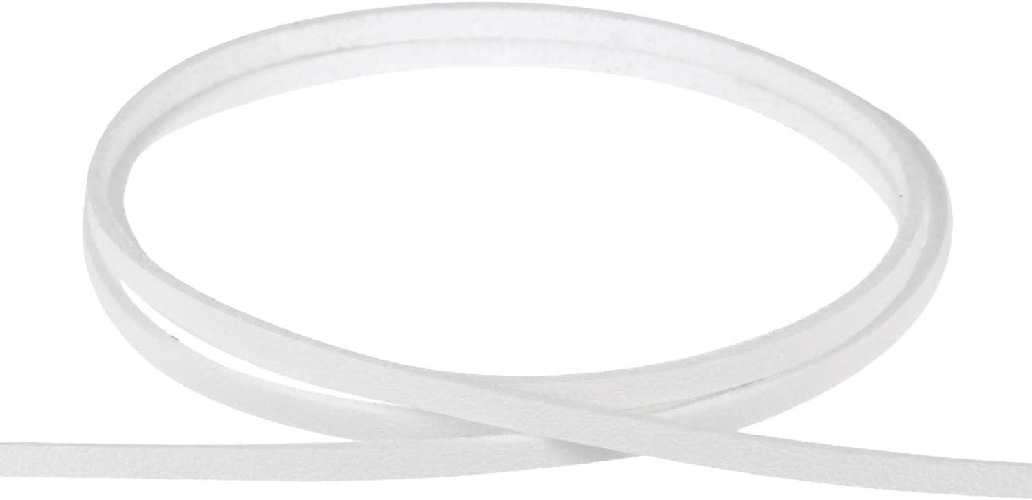 Platte band van imitatieleer - 3 mm breed, 3 meter lang