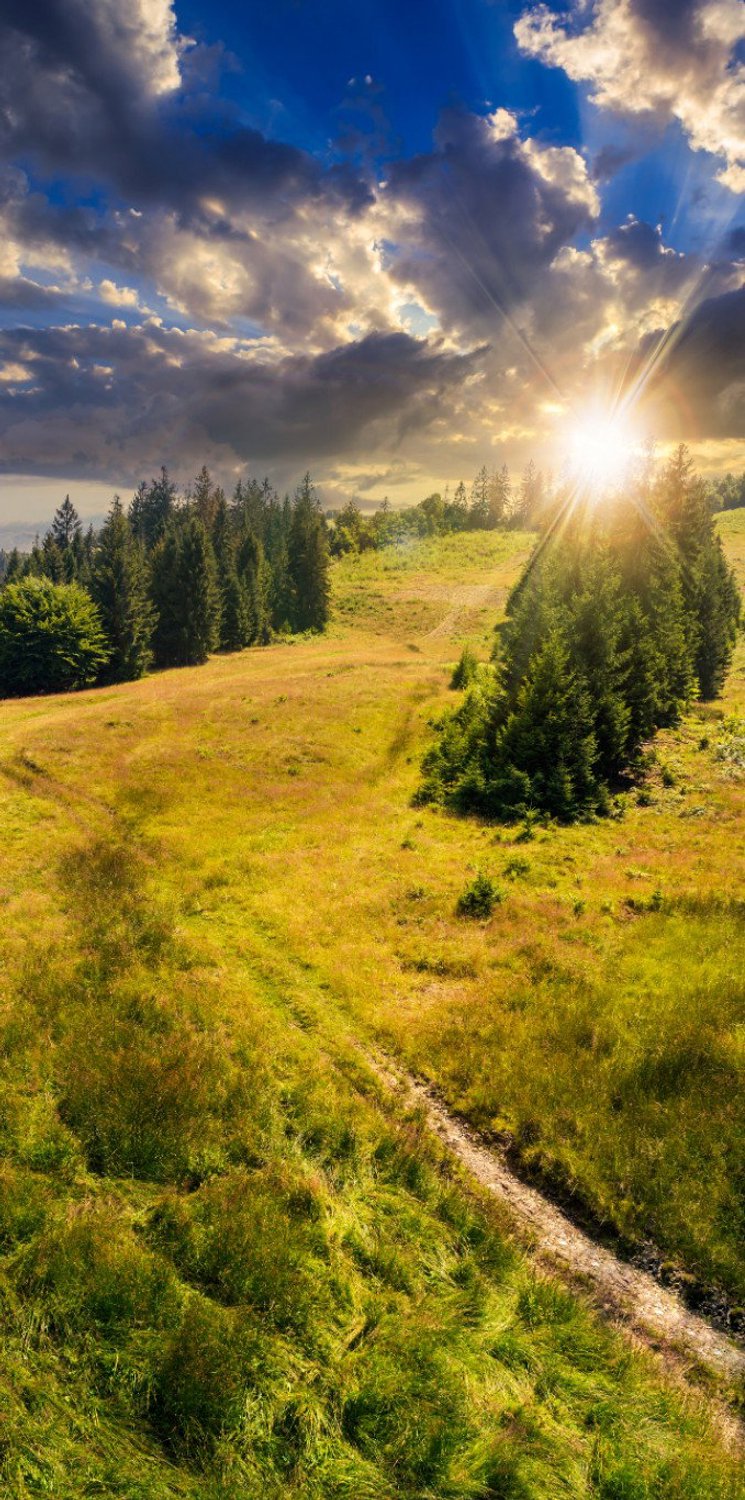 Vgdesign Bergpad in zonlicht 80x190 cm tuinposter banner VGDesign onbekend