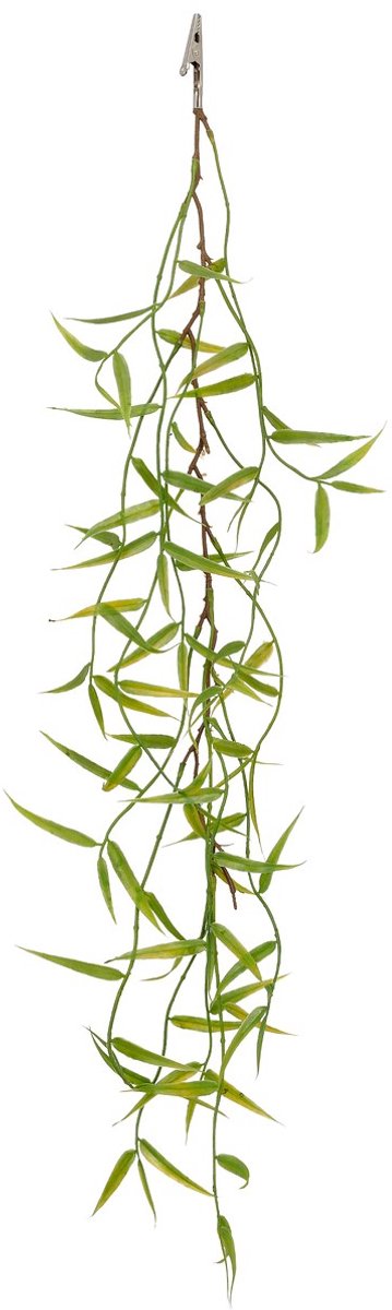 Gasper bamboe rankje groen met krokodillenklem 66 cm