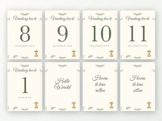 Milestone kaarten baby, 24 stuks A5 (jungle-giraf) — afbeelding 3