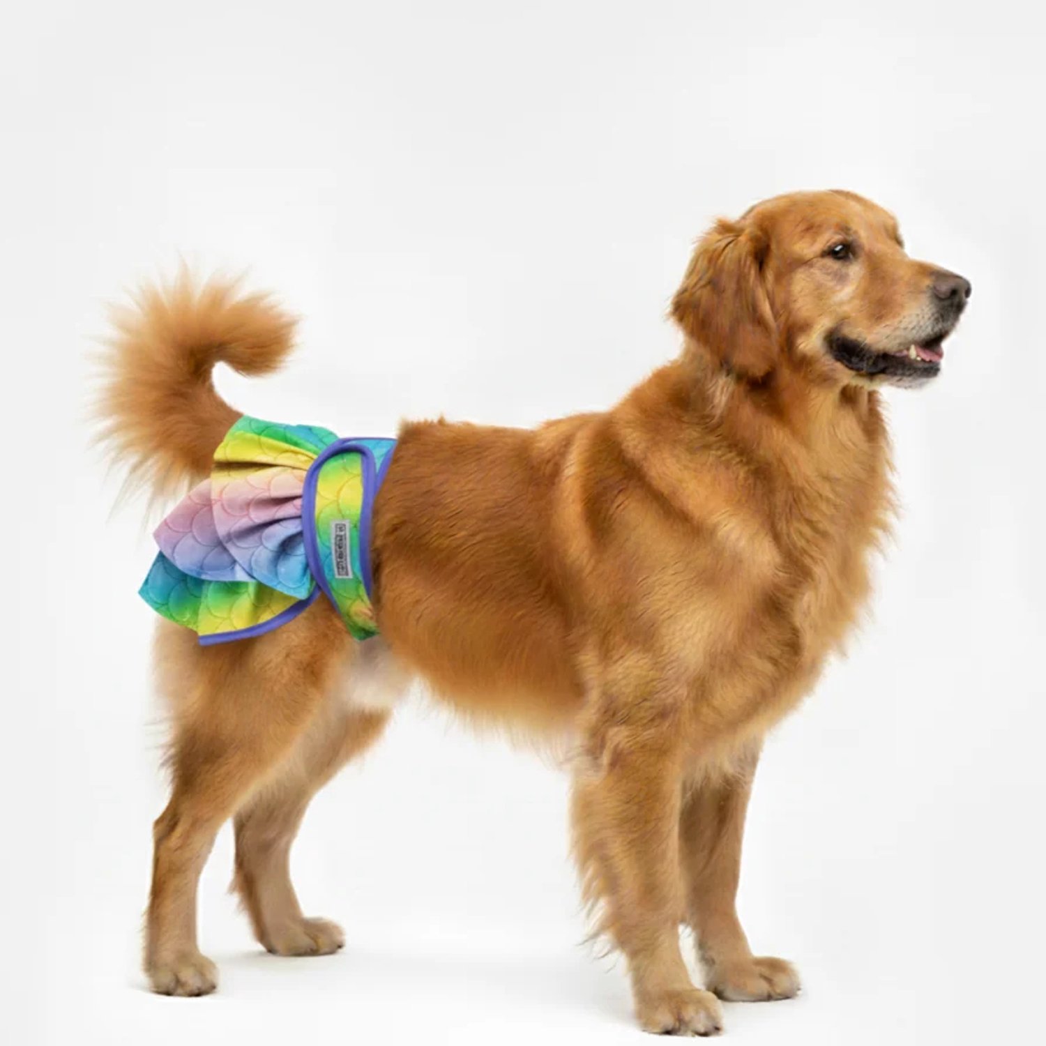 Loopsheidrokje hond Unicorn Maat XXL - Loopsheidbroekje - Hondenluier - Voor grote honden - Taille 69-80 cm