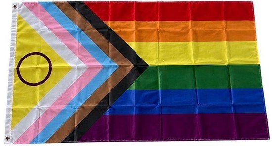 Progress Pride-vlag met regenboogstrepen, chevronpatroon in zwart, bruin, roze, blauw en wit en een paarse cirkel.