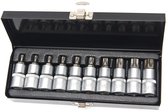 10 Delige Profi 1/2" TORX Doppenset