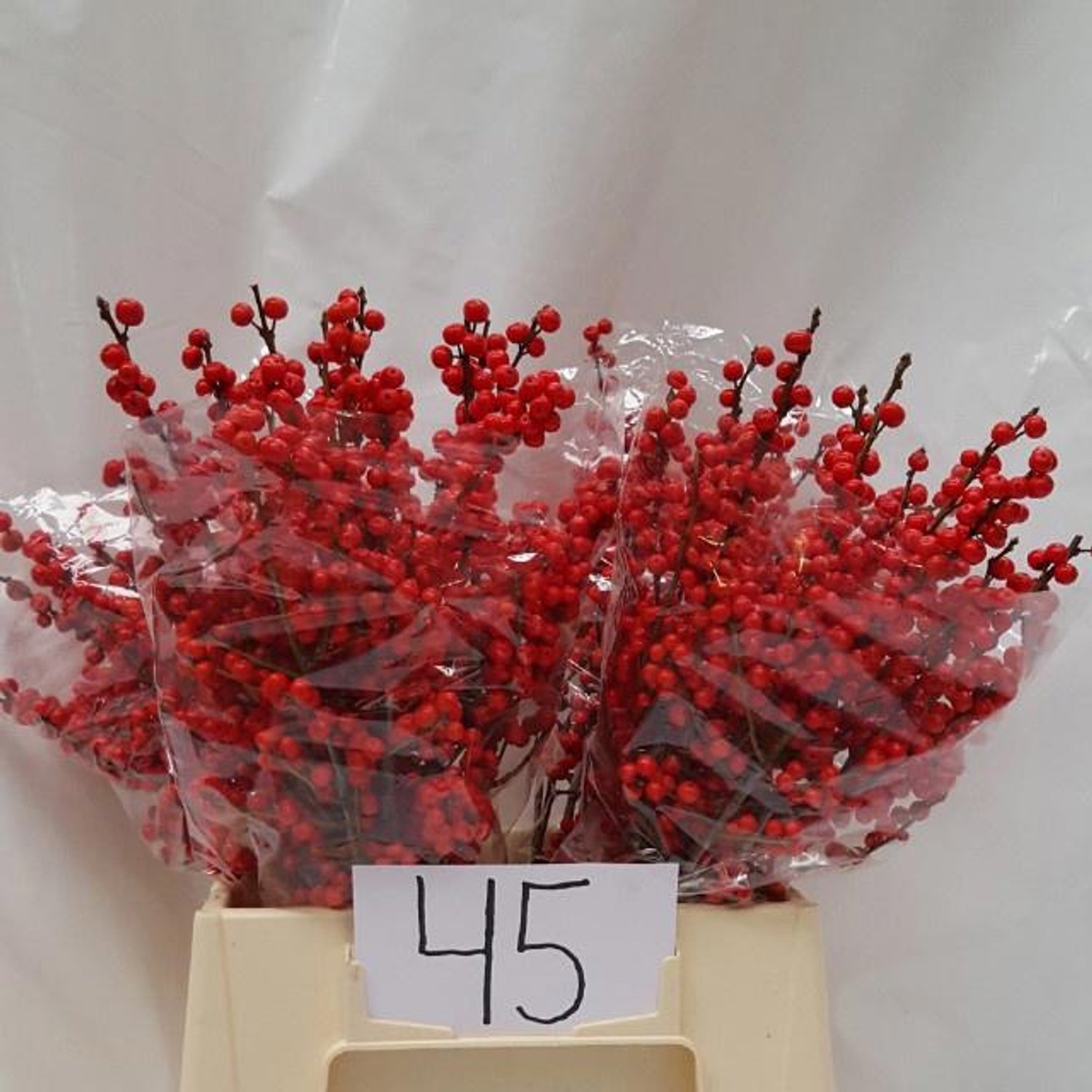 10x Ilex verticillata 40cm