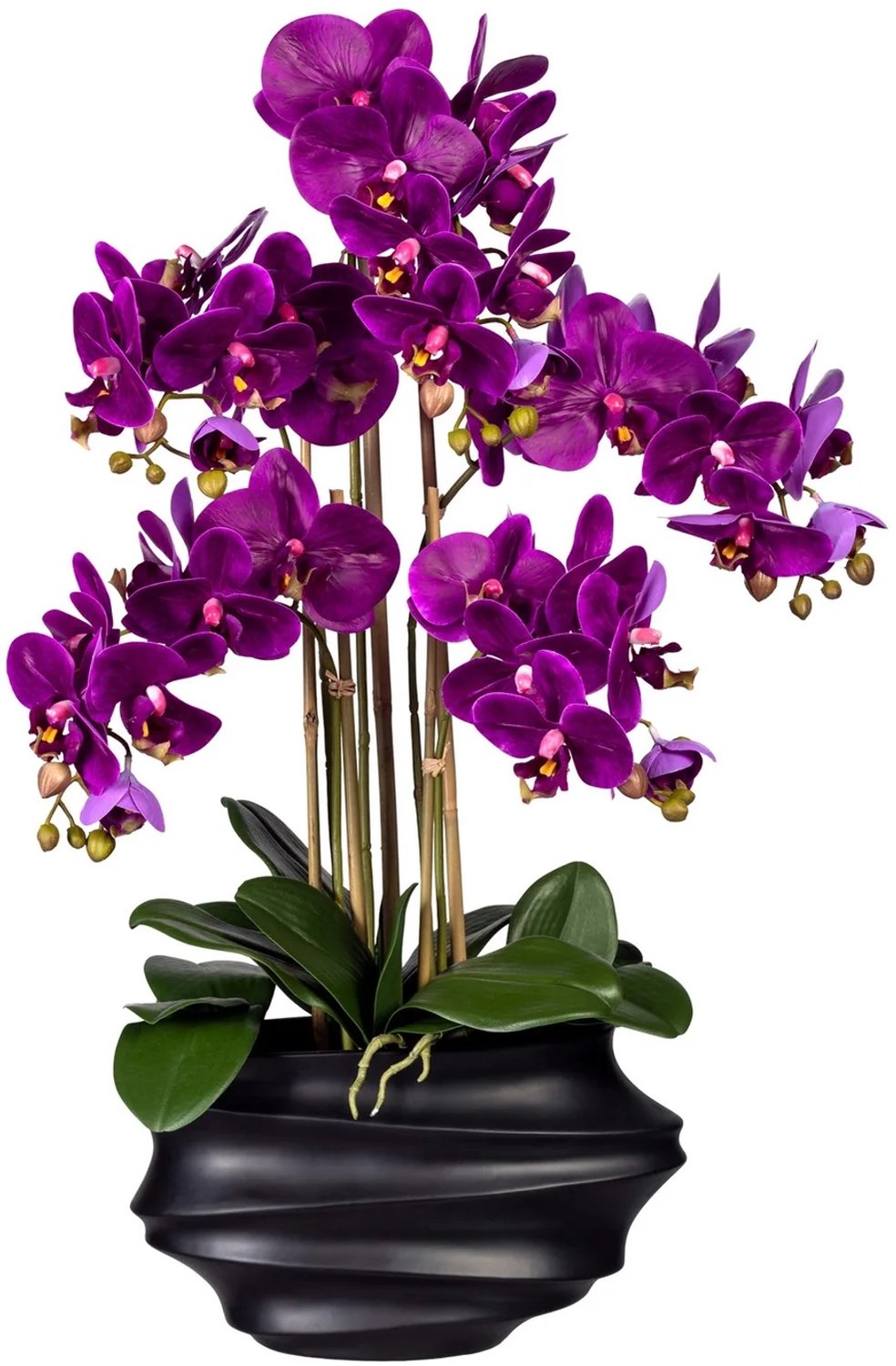 KOPU® Kunstorchidee 75 cm - Lila - Zwarte vaas - Phalaenopsis