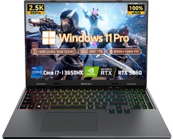 Blackview GamiBook 16 Gaming Laptop - 16 inch Full HD - 16 GB DDR5 - 1TB SSD - Intel i7 13650HX - NVIDIA RTX5060 - WiFi 6 Windows 11 Pro Notebook - Intel® Graphics - Grijs