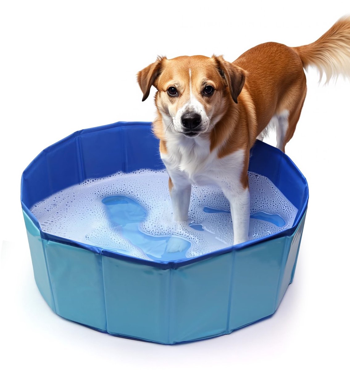 Elzusha - Opvouwbare Hondenpaddling Pool met Afvoerkraan