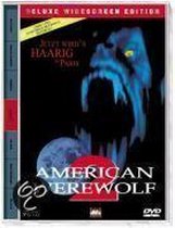 American Werewolf (Import)