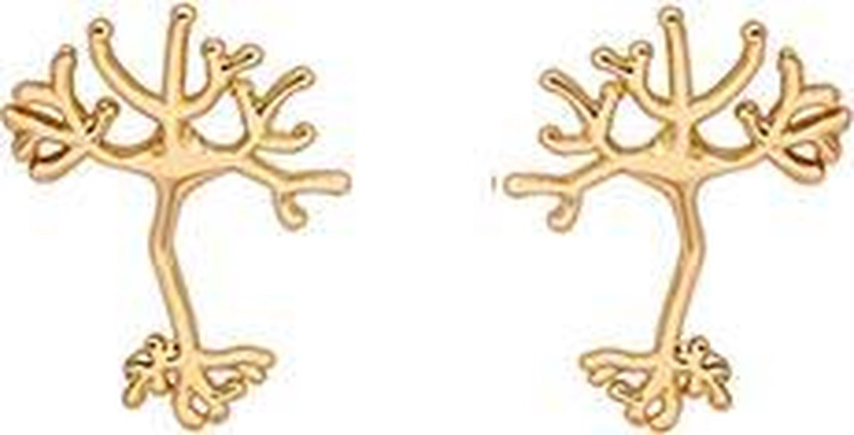 24/7 Jewelry Collection Neuron Oorbellen - Zenuwcel - Hersenen - Dokter - Goudkleurig
