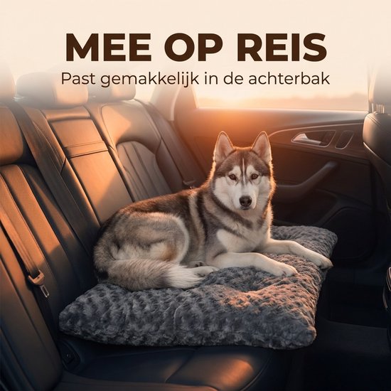 Huskys hond ligt op een grijs kussen in de achterbank van een auto.