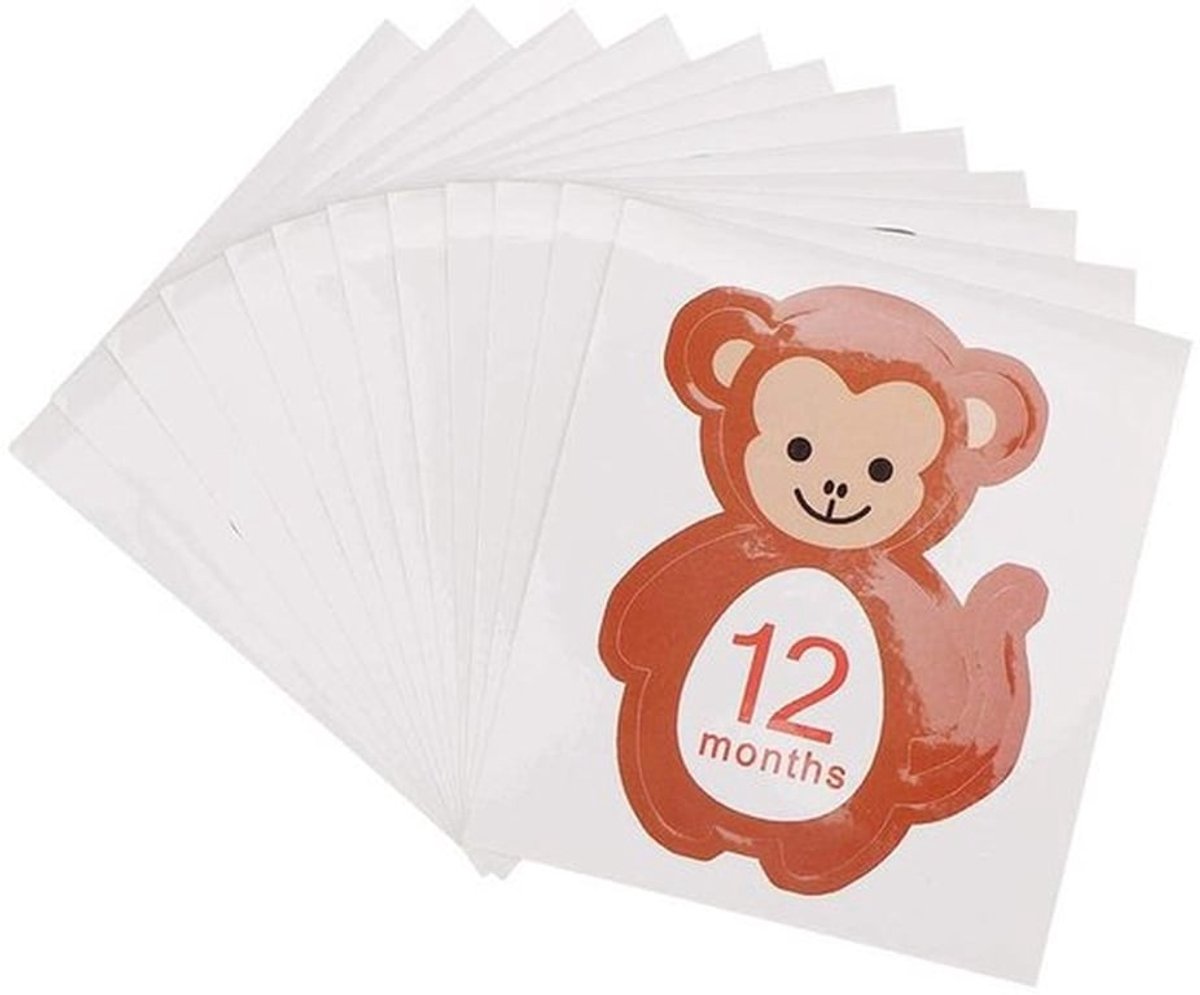 Maandstickers 12 Stuks - Maandsticker Set - Baby Fototoebehoren - Leuke Dieren - Gemakkelijk te Gebruiken - Papier 13x11,5 cm - Babylabels