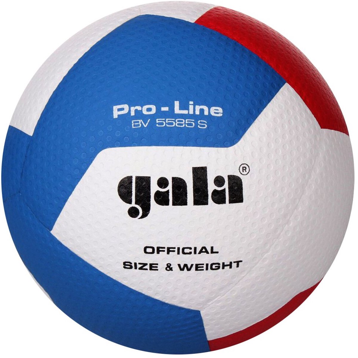 Volleybalbal Pro Line Bv 5585s