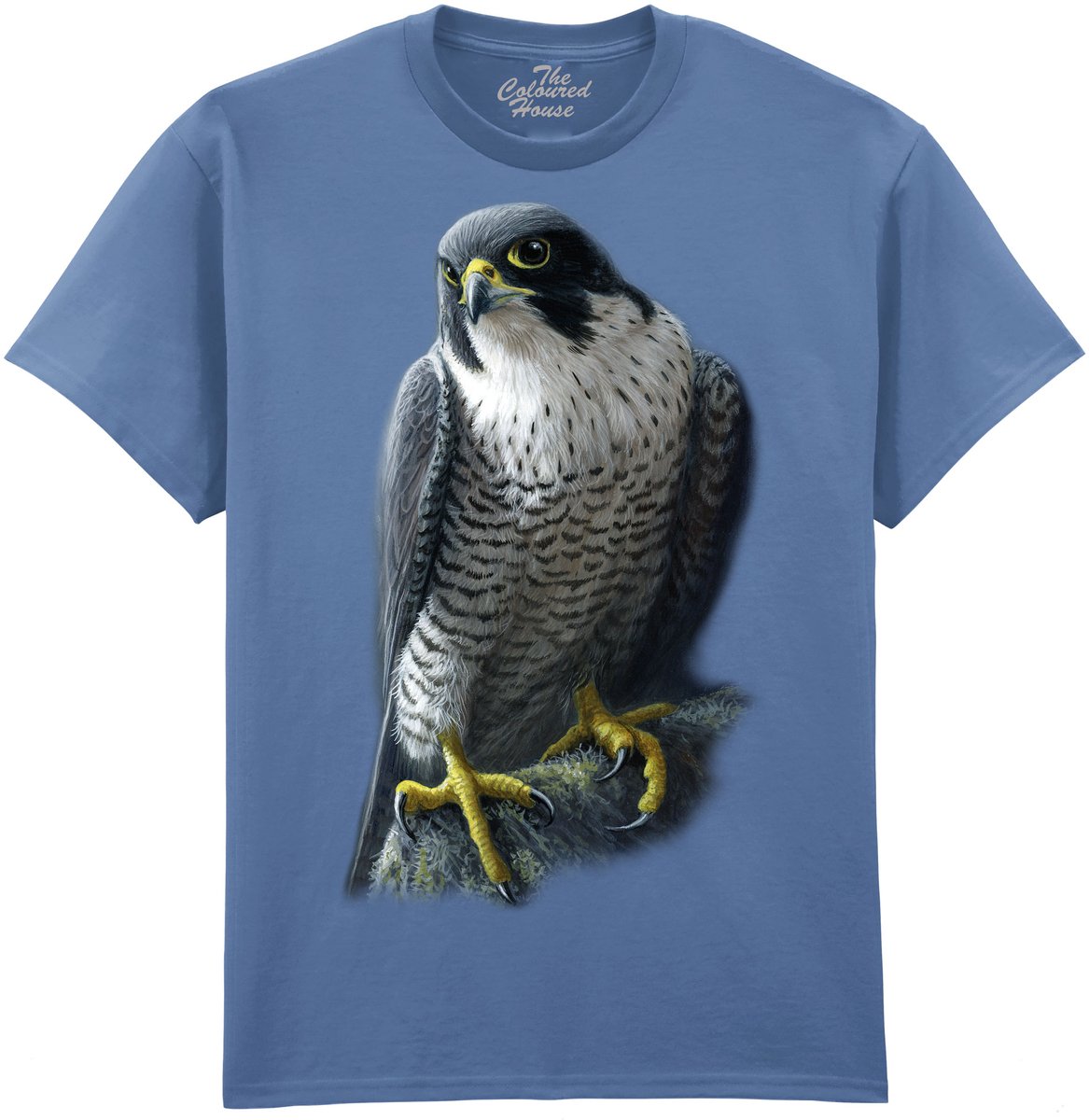 Slechtvalk Peregrine The Coloured House T-shirt XL