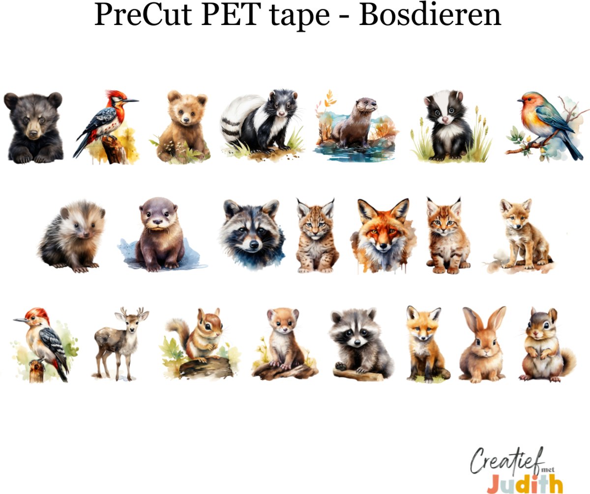 Bullet Journal Pet Tape Bosdieren - Planner Agenda Stickers - dieren stickers - Transparante stickers 2mtr - Scrapbook stickers - Doorzichtige Deco stickers - Pre-cut stickers - volwassenen en kinderen