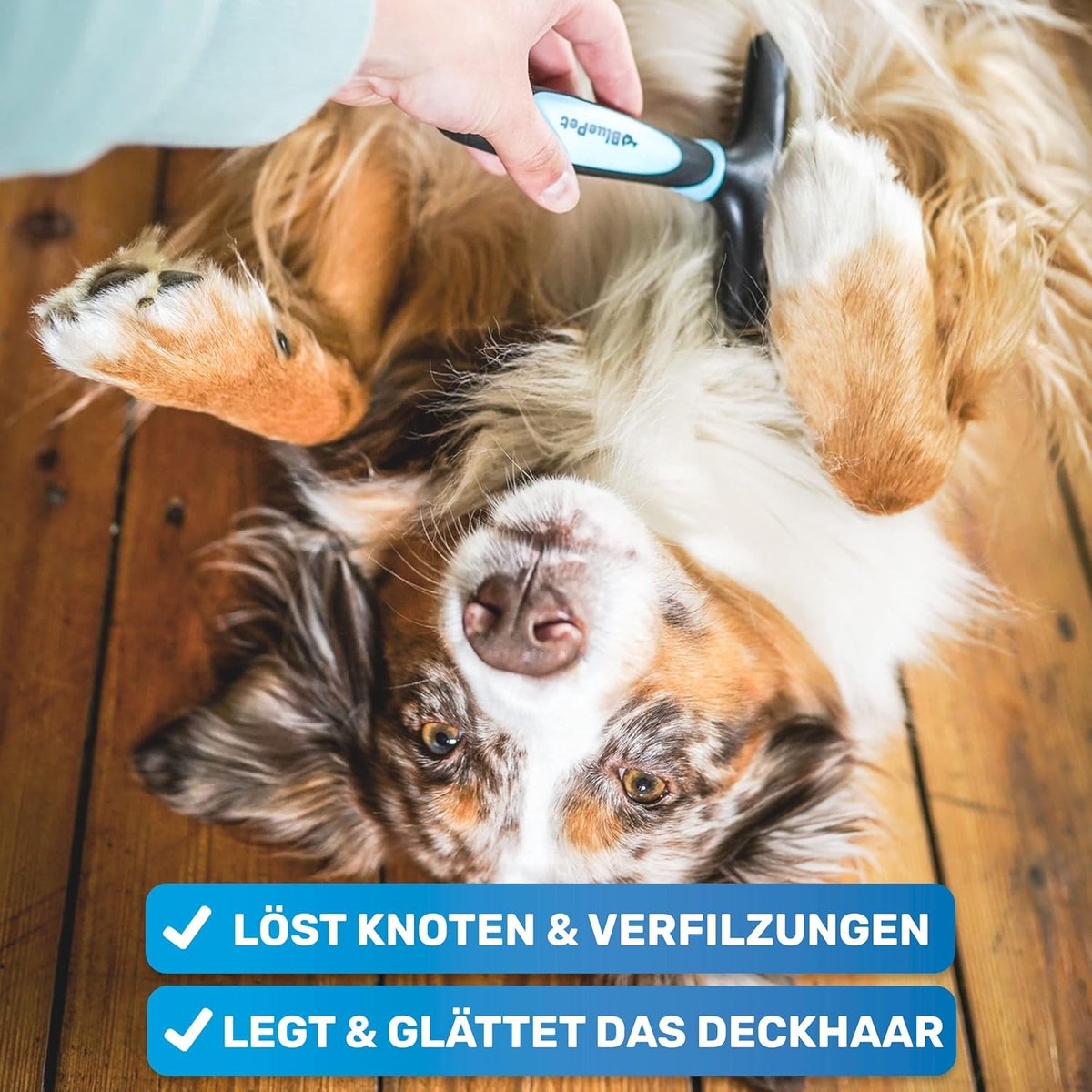 Hondentondeuse voor dikke vacht - Blauw - Ontwarrende ontklitter met twee rijen pinnen - Voor langharige honden en katten