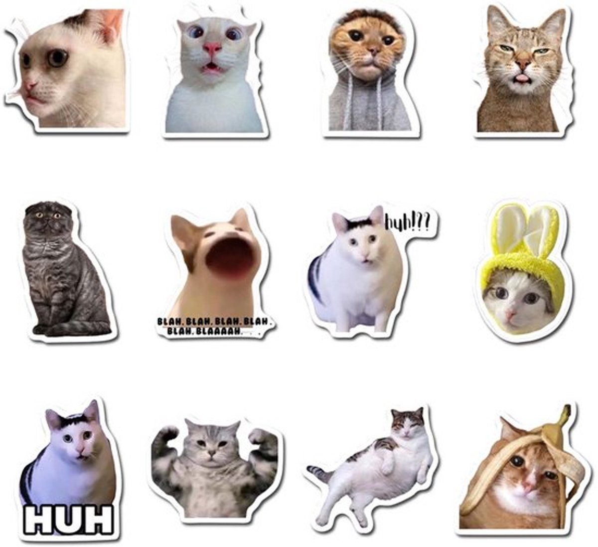 Koelkastmagneten 12 stuks - Grappige Decoratieve Magneten - Sterke Zelfklevende Magneten - Voor Keuken/Kantoor - Herbruikbaar - Unieke Meme-Stickers - Decoratiemagneten