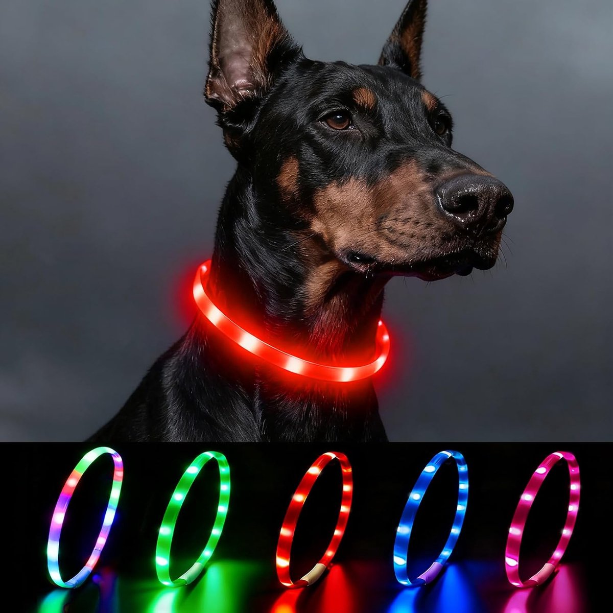 SnelShoppen - Lichtgevende Halsband voor Honden - USB-Oplaadbaar, Waterdicht, Verstelbaar - LED-Halsband voor Middelgrote en Grote Honden met 4 Verlic