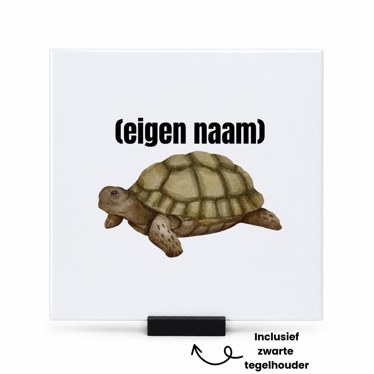 Hacebo schilpad met eigen naam tegeltje met tegelhouder - Schildpad - schildpad liefhebbers - tegeltjes met tekst - dierenliefhebbers - cadeau - verjaardag - kado - spreuktegels - 15x15 CM Wit