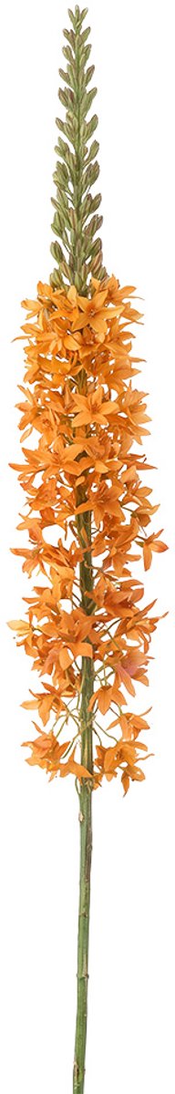 Clayre & Eef Kunstbloem Oranje Kunststof