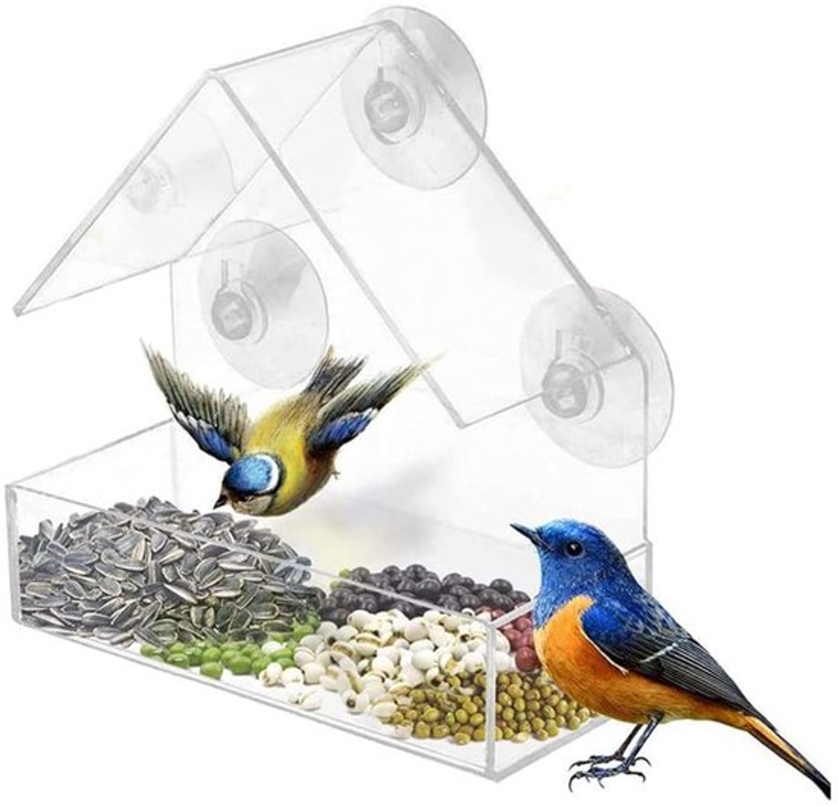 Vogel huisje - Vogelhuisje voor aan / op het raam - Voederplek - Vogelhuis met Zuignappen - Vogel Voeder Transparant Venster - Vogel Verzorging - Inclusief Zuignappen - Transparant