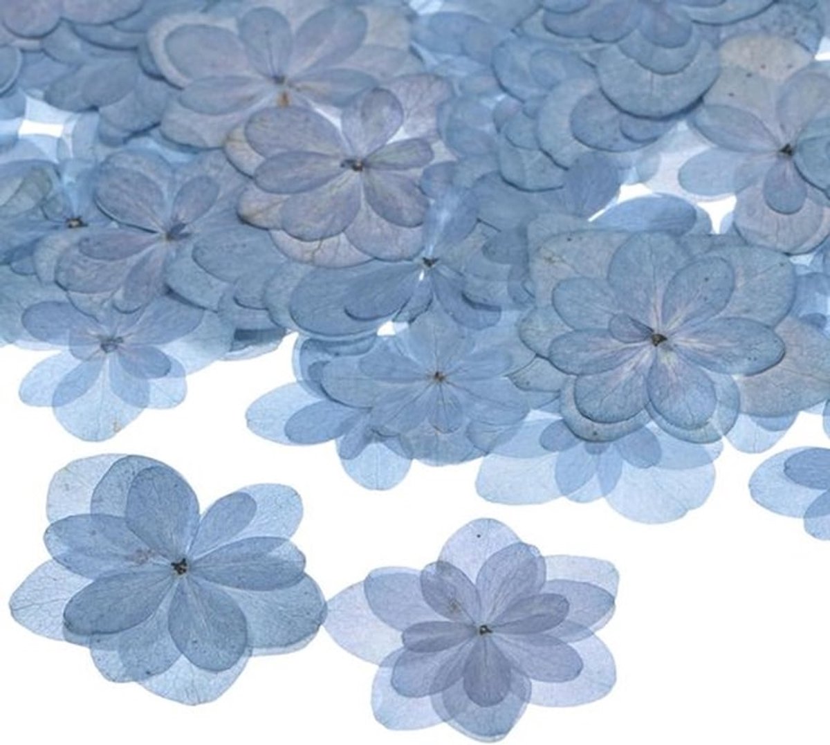 60 Stuks Gedroogde Geperste Bloemen voor Hars, Natuurlijke Bloemen voor Ambachten, Zeep, Scrapbooking en Kaarsen
