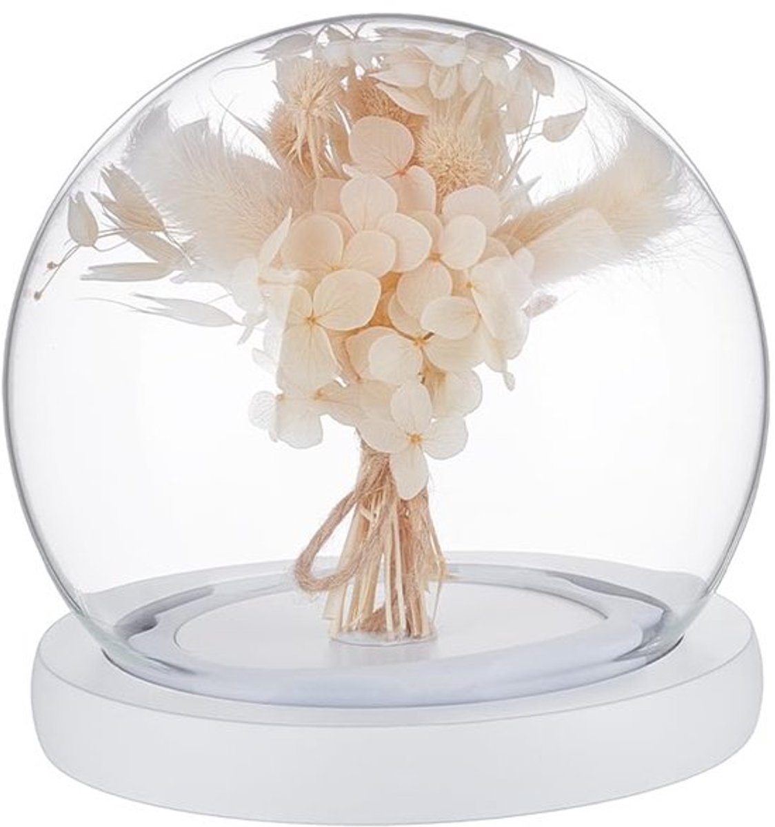 Glazen display koepelvormige stolp, eeuwige bloemen glazen koepelvormige afdekking met houten basis, anti-haaruitval ontwerp, boogvormige stolp voor middelpunten, planten, rotsen, specimens, decoraties, knutselwerkjes