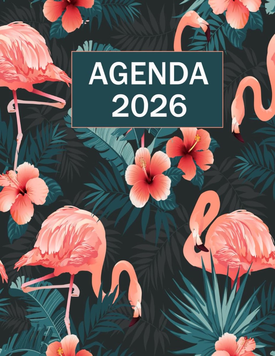 SnelShoppen - Agenda Giornaliero A4 - Dagelijkse Planner van Januari tot December - 1 Pagina per Dag - Zwarte Agenda - Perfect voor Organisatie en Pla