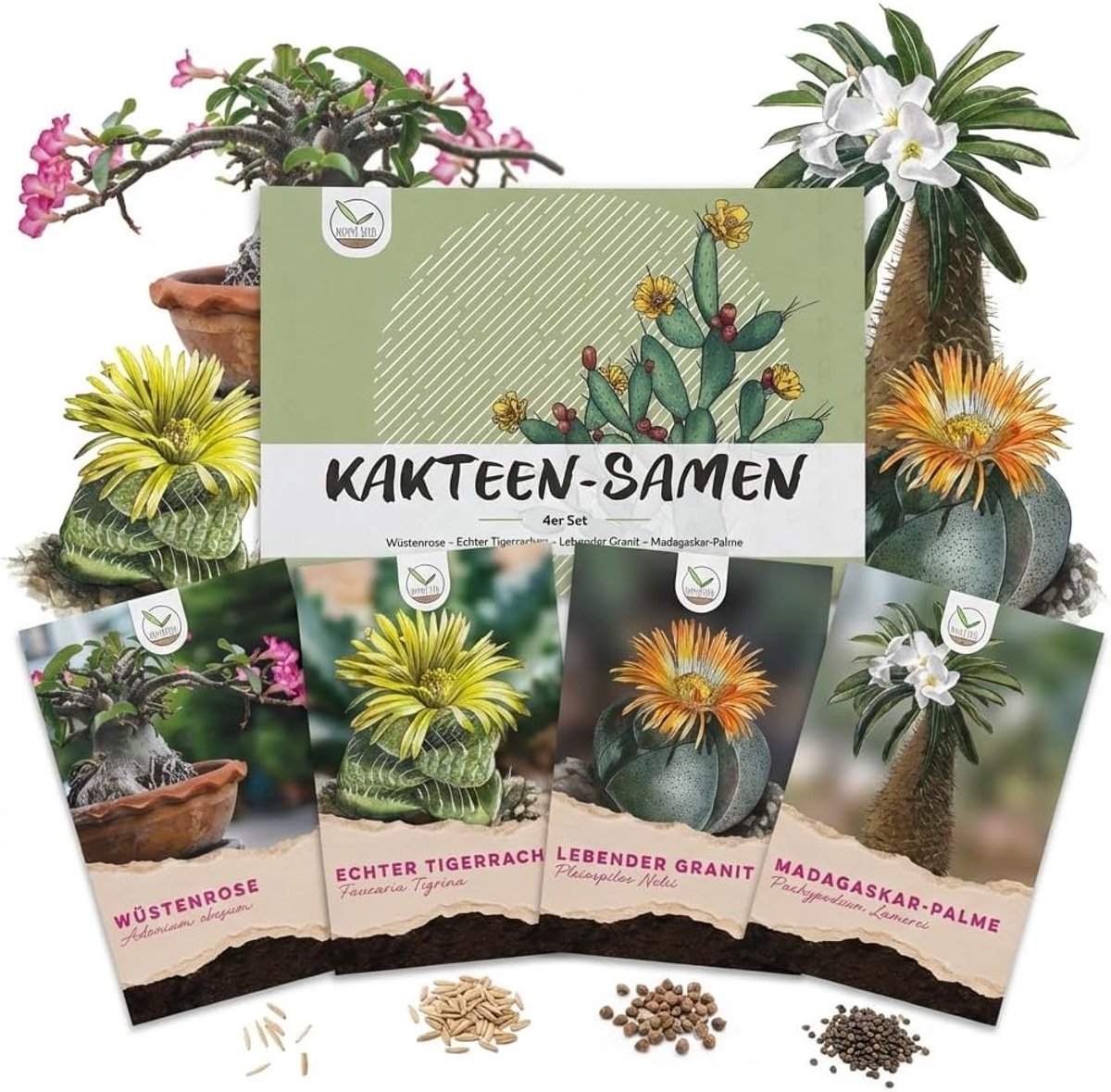 SnelShoppen - High Germination Cactus Zaden Set - Succulent Zaad Mix voor Bloeiende Cactussen - 4 Soorten Kleurige Zaden voor Tuin, Balkon en Interieu