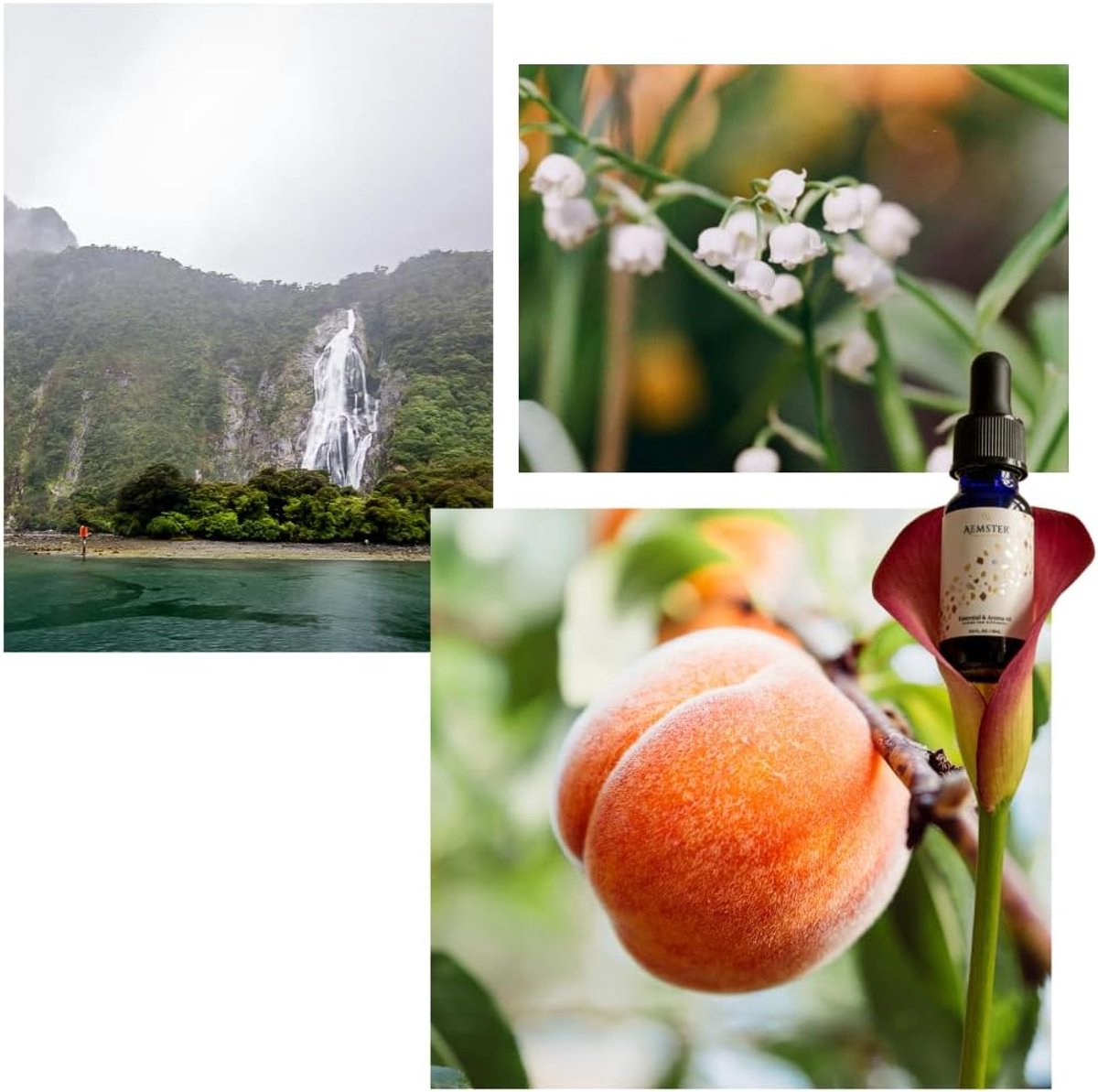 SnelShoppen - Floral Fiordland Geurolie (15ml) - Huisparfum voor Aroma Diffusers - Bloemige Geur met Perzik, Neroli, Jasmijn en Tuberose - Ideaal voor