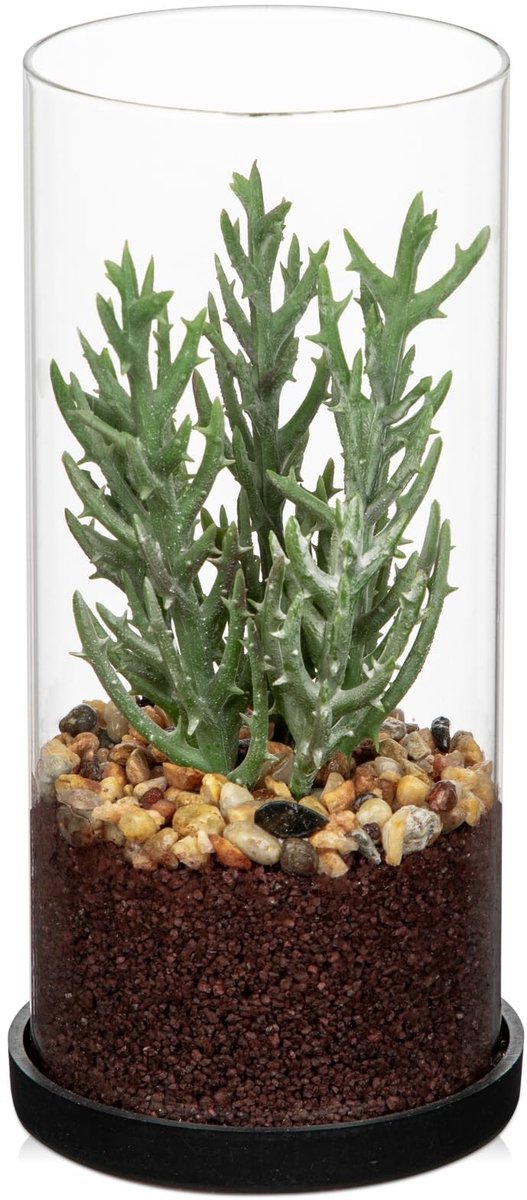 Dailygoods - Kunstmatige vetplant in glas - Kleine kamerplant voor woondecoratie