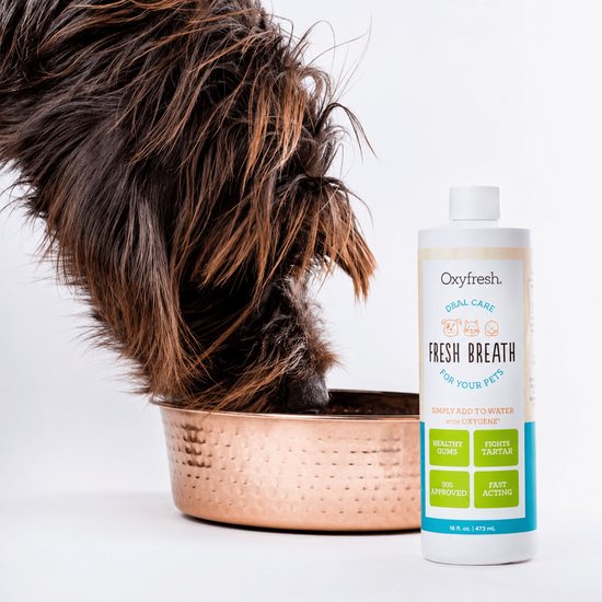 Een hond met lange bruine vacht die uit een koperkleurige voerbak drinkt, naast een flesje "OxyFresh Fresh Breath".
