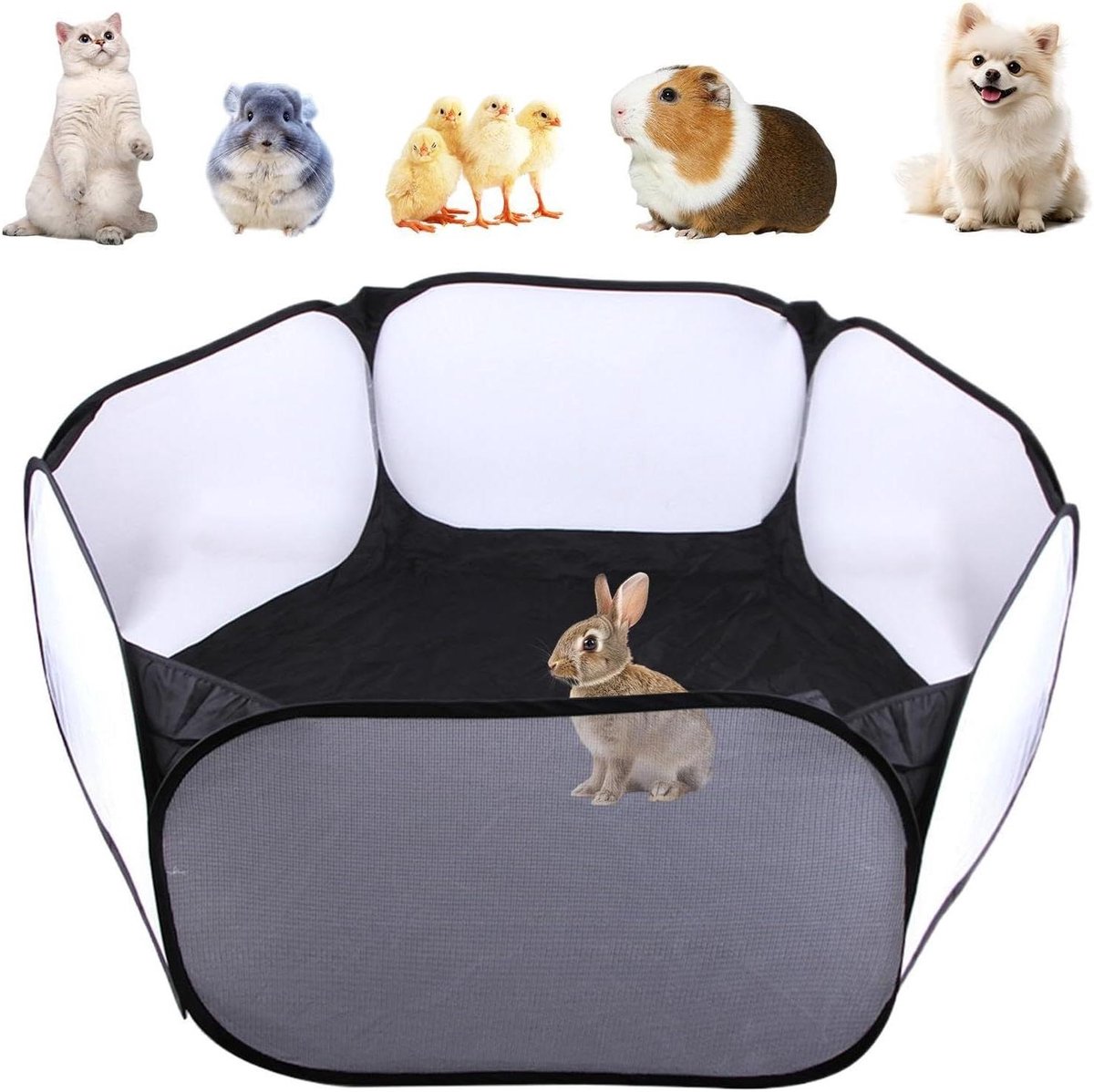Kattenren Omheining - Huisdieren Kooi Tent - Veilige Speelruimte - Draagbaar En Opvouwbaar - 24 x 24 x 6 cm