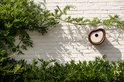 Bruin vogelhuisje met crèmekleurige voorkant en ronde ingang, bevestigd aan een witte bakstenen muur met begroeiing.