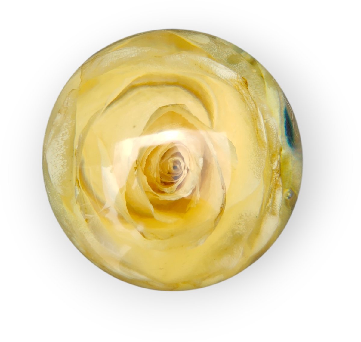 Resin Art JR: Handgemaakte Epoxy Bol met Gedroogde Roos | 9 cm | Eeuwige Roos | Tijdloze Woondecoratie | Uniek Cadeau
