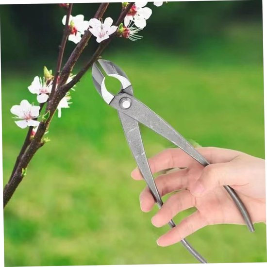 Bonsai Gereedschap - Takken Snoeier Tuin - Bomen Vormgeven - Nauwkeurig Snijden - 21 cm - Zilver — afbeelding 3