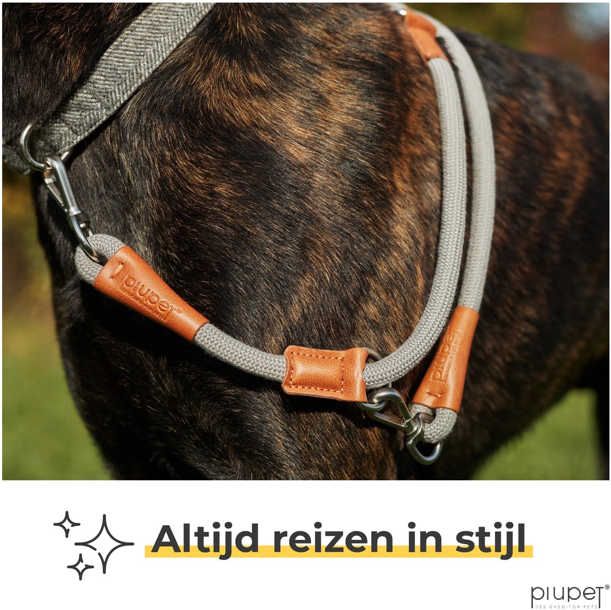 SnelShoppen - Hondenriem 2m - Leiband voor Grote en Kleine Honden - Trainingslijn voor Honden - Grijze Hondenriem voor Hardlopen en Training - Duurzaa