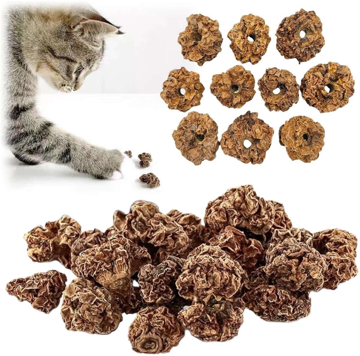Dailygoods- Katten Speelgoed 20 Stuks - Eetbaar Speelgoed - Tandreiniging Speelgoed - Natuurlijke Ingrediënten - Matatabi Vruchten - Premium Kwaliteit - Kattenknuffel