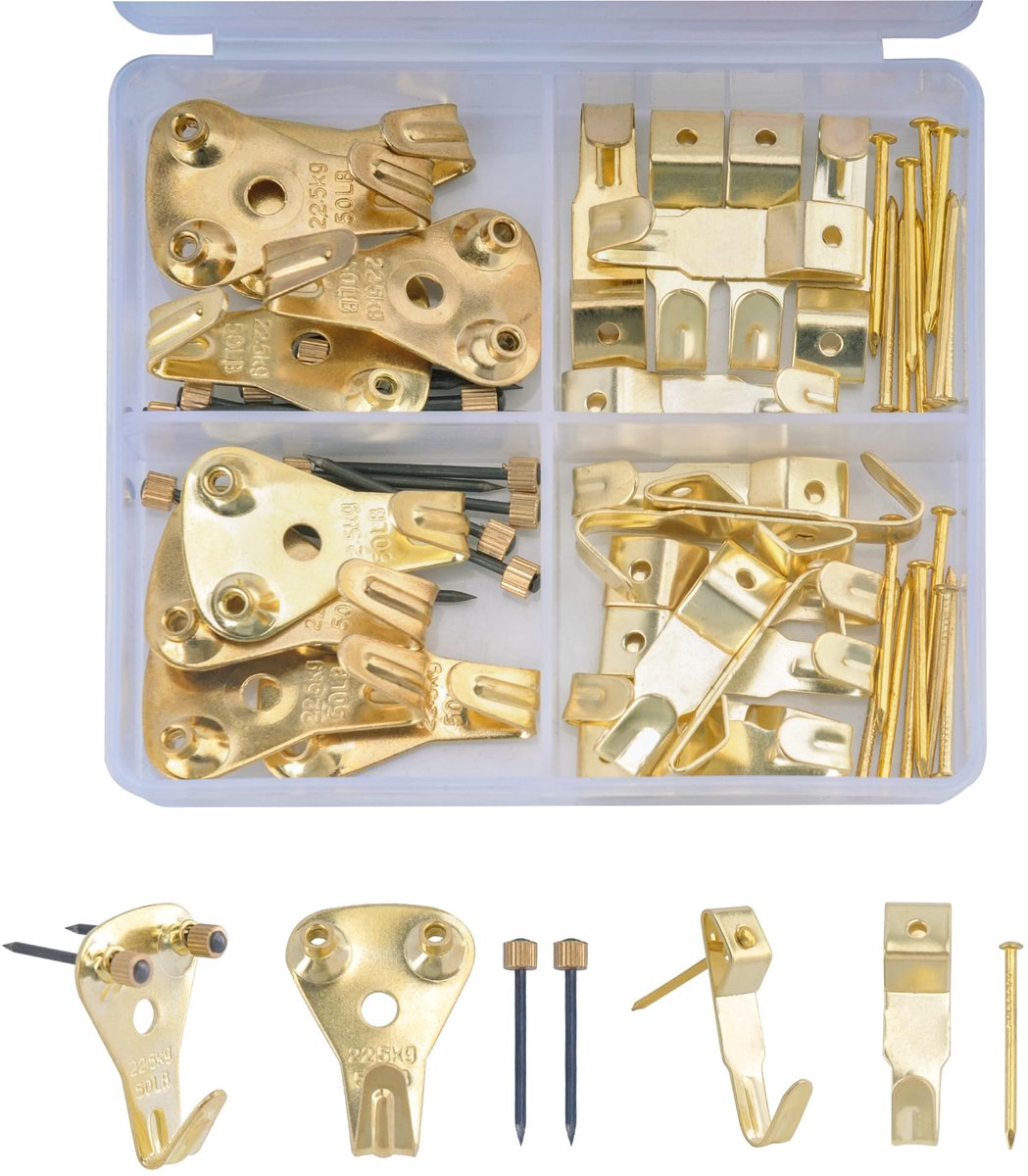 Dailygoods - 56 Stuks Beeldhaken Set met 30 & 50 Lbs Haakjes en Spijkers - Voor Muurhaken en Decoratie