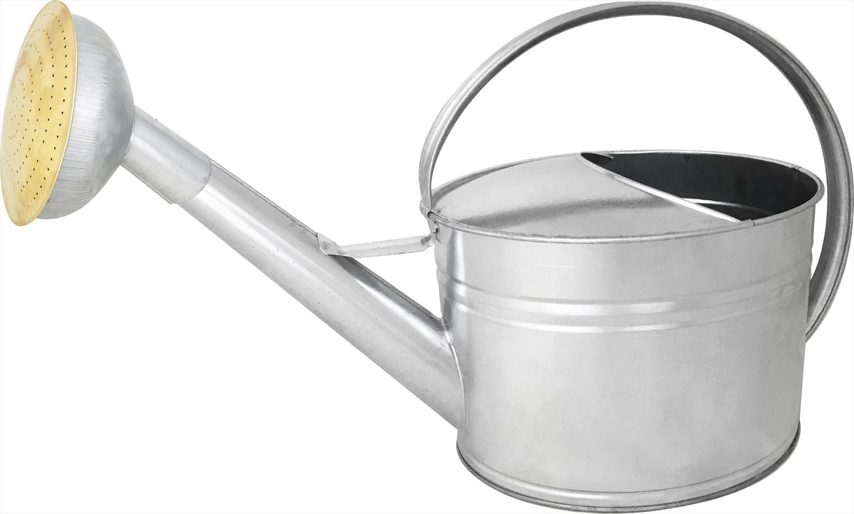 Dailygoods - Gieter van Gegalvaniseerd Staal met Appel en Messing Rooster - 6 Liter