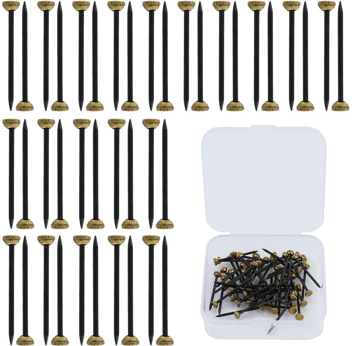 Dailygoods - 55 Stuks Zwarte Messing Kop en Stalen Spijkers voor Foto's - Ophangset met Opbergdoos