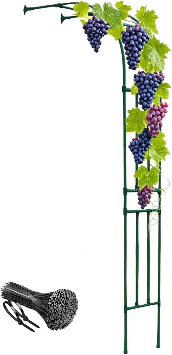 Rozenboog - Plantensteun Buiten - Tuindecoratie - Stevig Stalen Frame - 60 x 240 cm - Groen