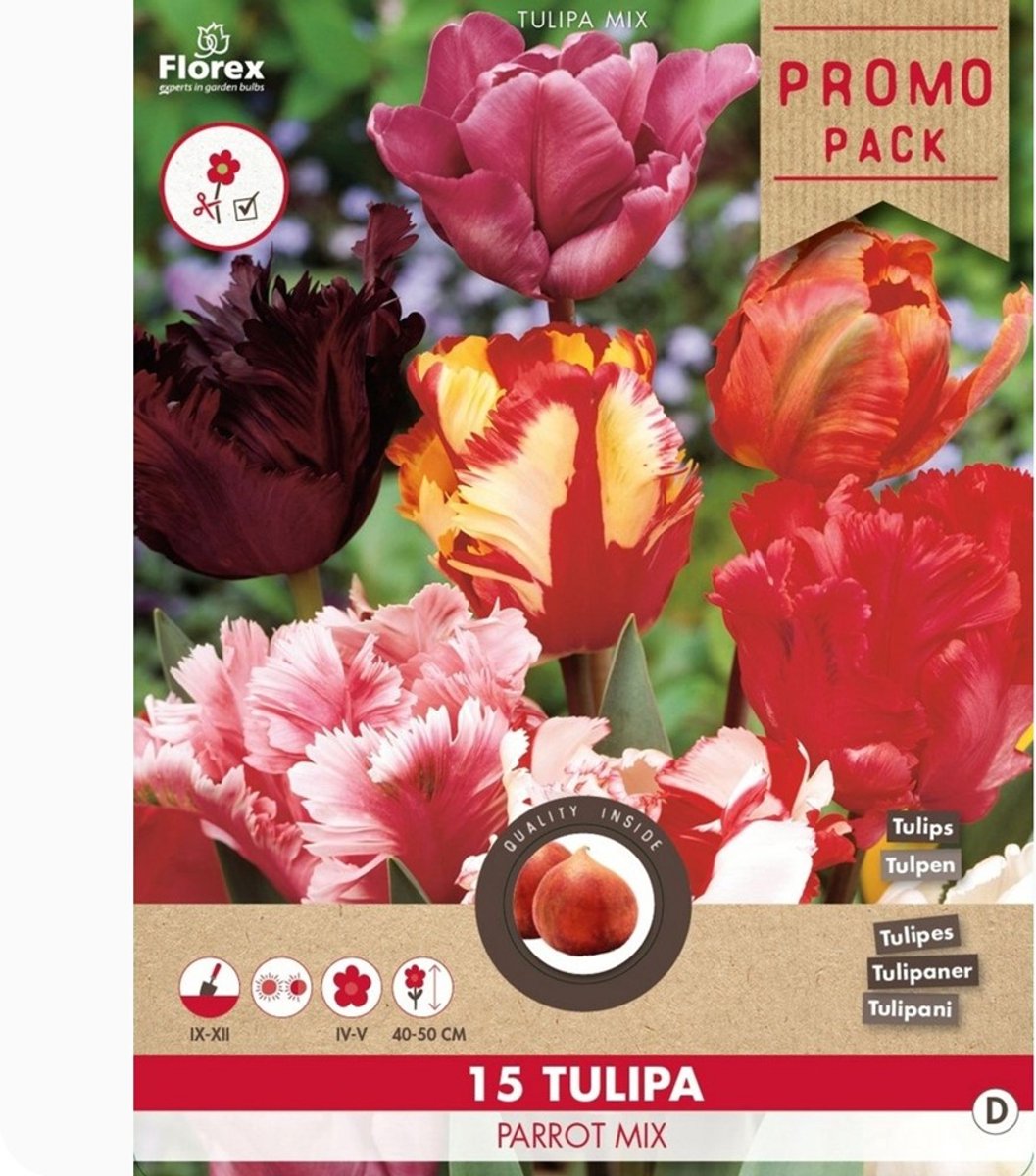 Tulp (Tulipa) - en Parrot mix - Snijbloemen - bloeit in April / Mei