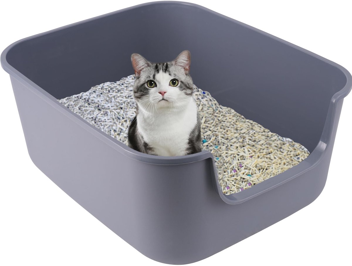 Famanu – Kattenbak met hoge zijkanten, grote open bovenkant, diepe ingang, spatwaterdicht, 49 x 42 x 22 cm, grijs Famanu – Kattenbak met hoge zijkanten, grote open bovenkant, diepe ingang, spatwaterdicht, 49 x 42 x 22 cm, grijs