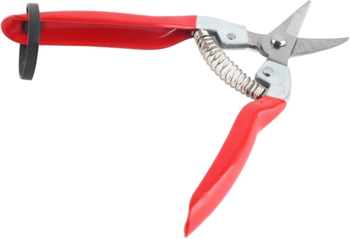 Knipschaar tuin - Zilver - 20 cm - Roestvrijstalen Lemmet met Ergonomische Antislip Grip - Voor Bonsai en Fruitbomen